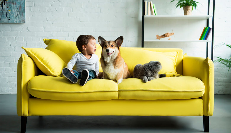 Foto: Kleiner Junge, sein Hund und seine Katze sitzen alle auf dem Sofa.